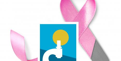Nastro rosa Airc, imprenditori uniti per la ricerca contro il cancro